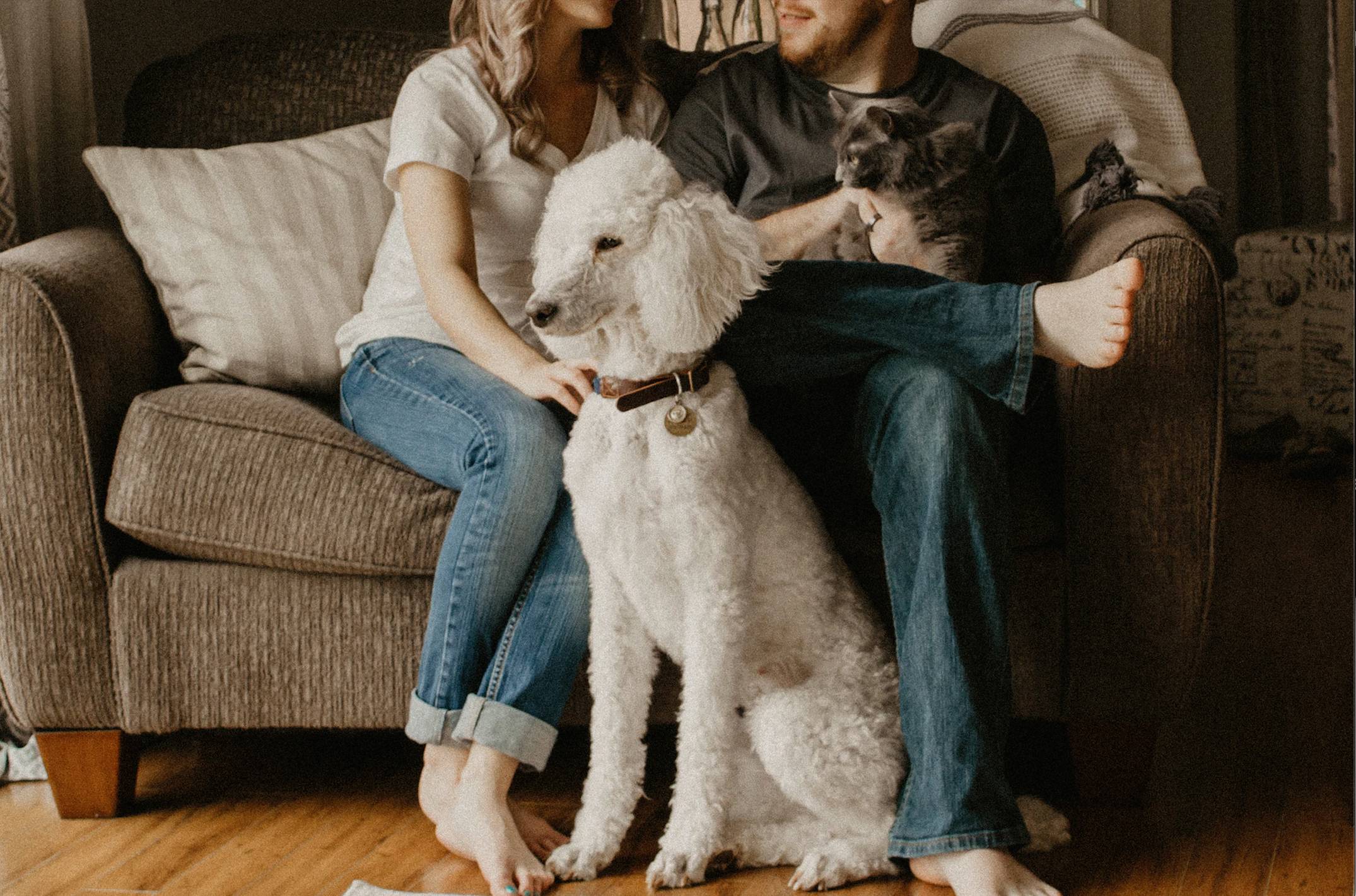 Image of a family sitting on a couch with their dog and cat.